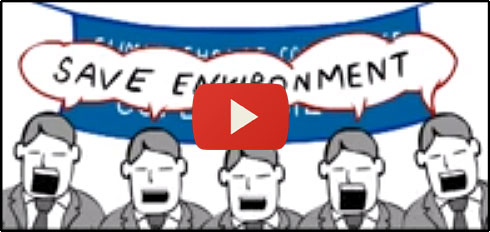 Green Donkey Introduction